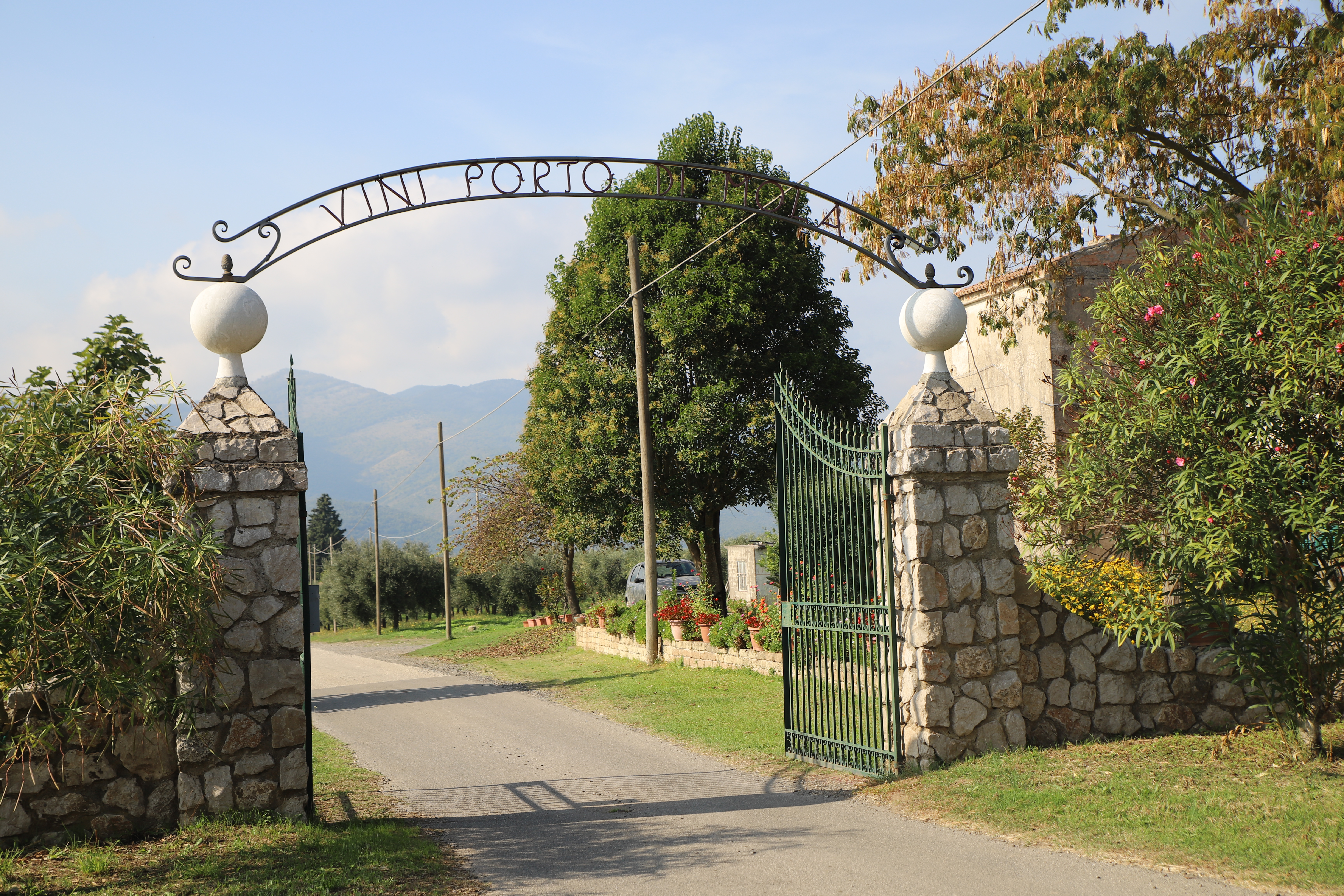 territorio
