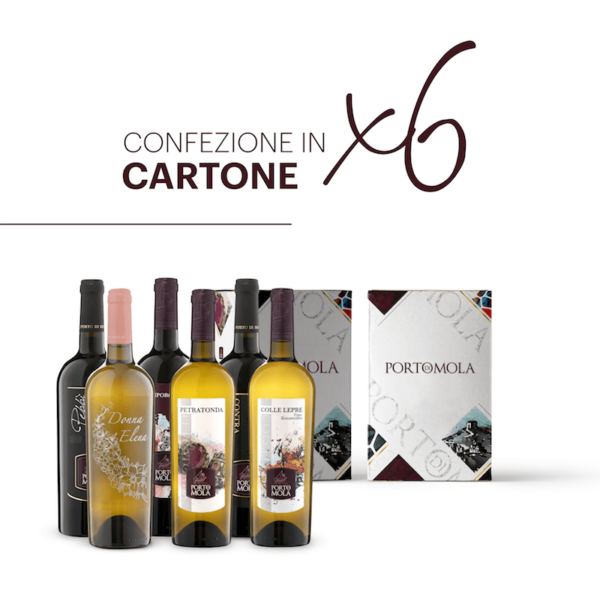 Box In Cartone 6 Bottiglie