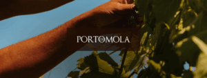 Enoturismo in Campania