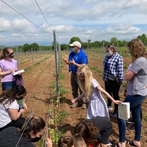 tour-con-visita-guidata-in-vigna